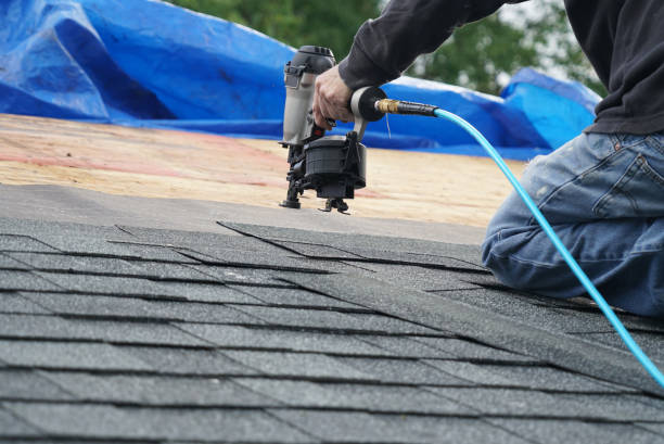 Best Metal Roofing Installation  in La Feria, TX