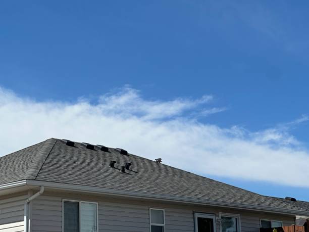 Best Tile Roofing Installation  in La Feria, TX